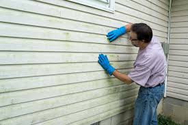 Best Fiber Cement Siding Installation  in South Pasadena, CA